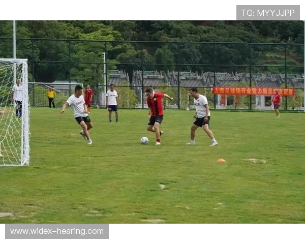 足球的魅力与挑战：从球场竞技到全球文化现象的多维探讨