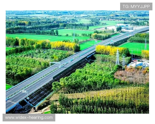 山东高速发展新篇章推动区域经济增长与交通网络升级