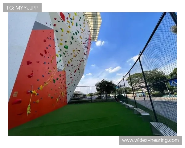 广州攀岩队心理素质深度对比分析与提升策略探讨